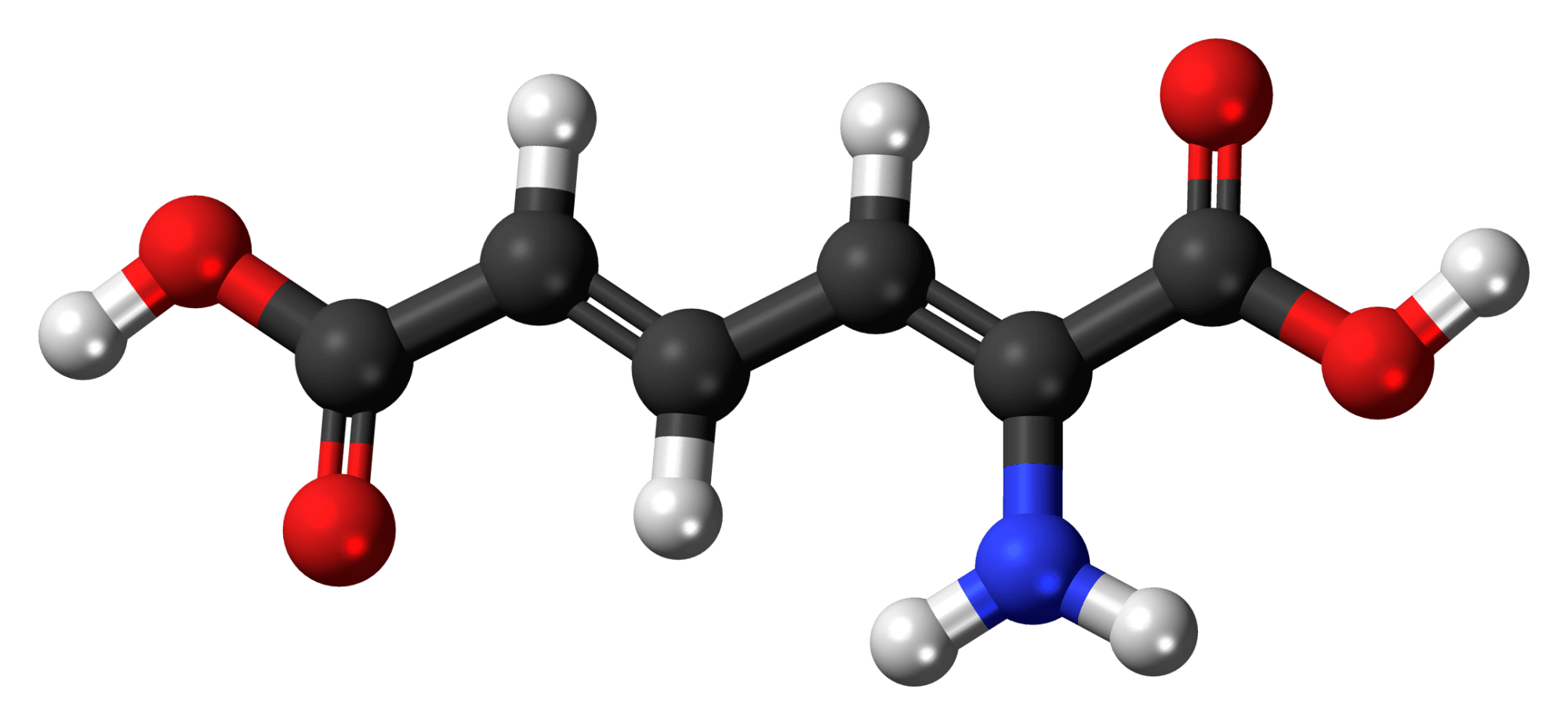 metabolism-how-your-body-s-biochemical-process-works